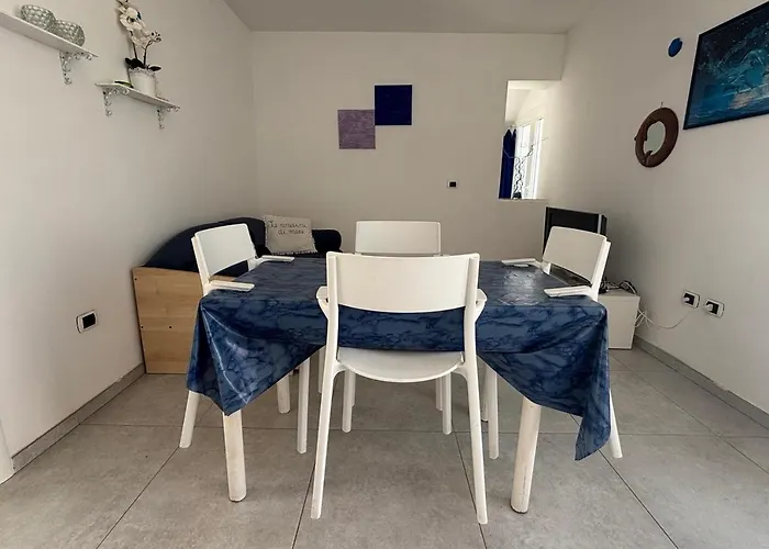 Le Rondini Di Mare *