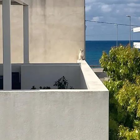 بيت للعطل Le Rondini Di Mare توري سان جيوفاني أوغينتو