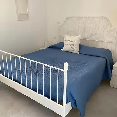 Le Rondini Di Mare